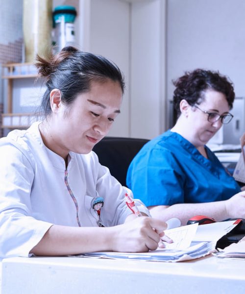 Ventajas regionales de estudiar Medicina y Cirugía en David